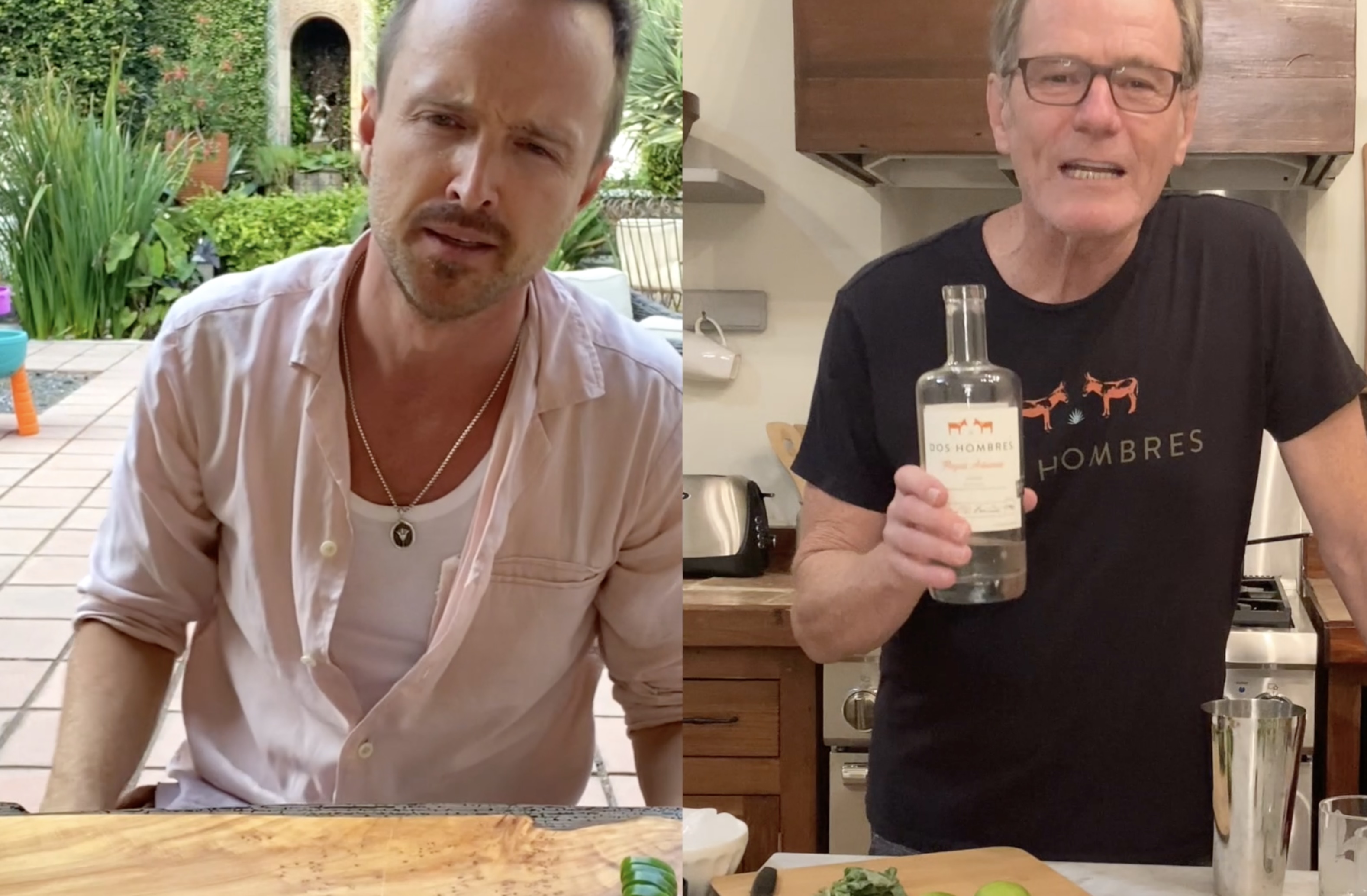 Dos Hombres - Aaron Paul & Bryan Cranston