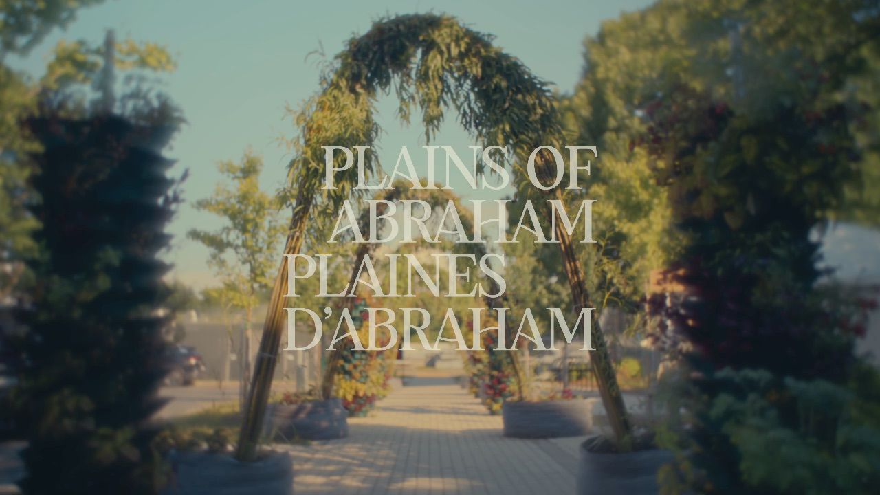 CCBN — Plaines d'Abraham, Natura Historia